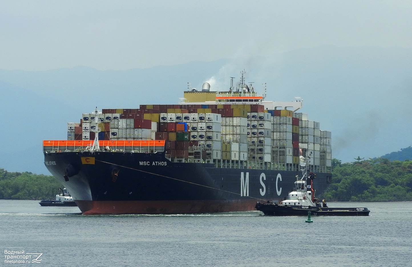 MSC Athos, Delphinus