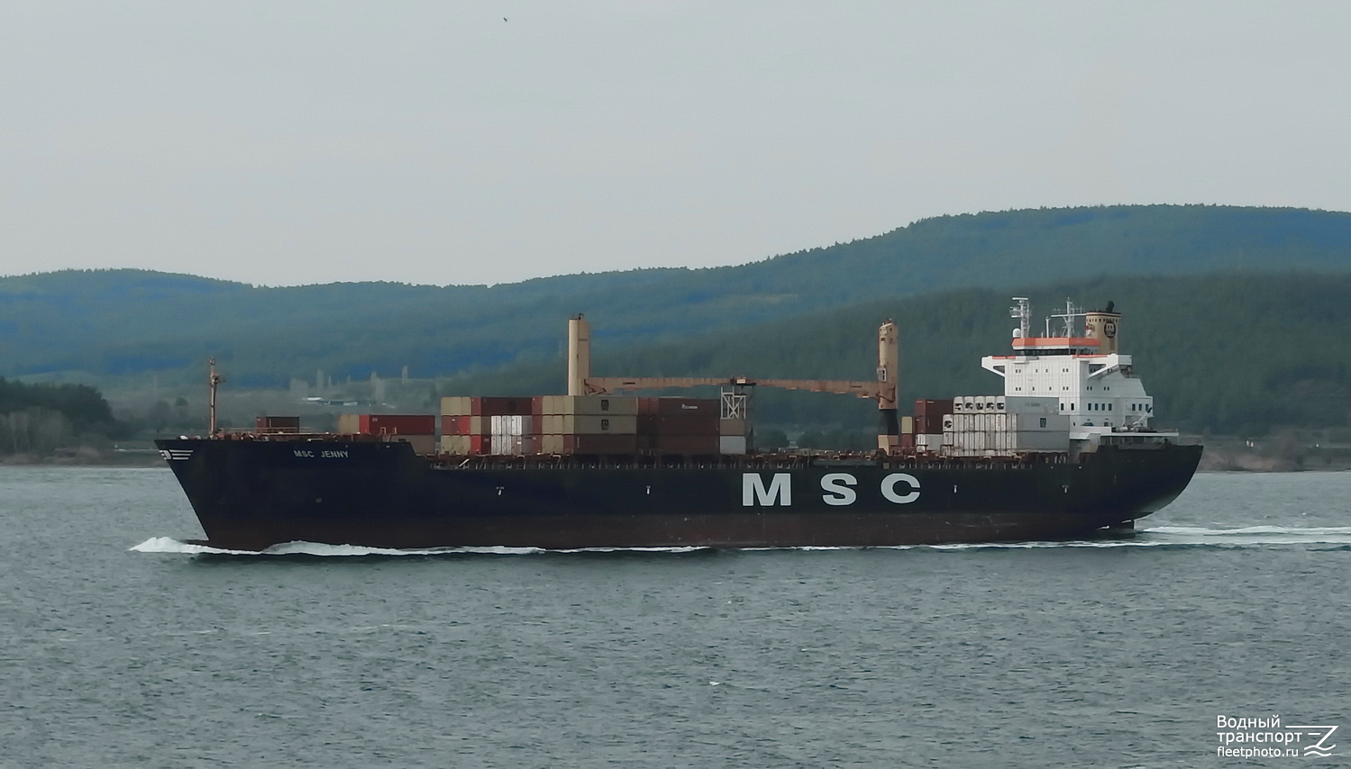 MSC Jenny