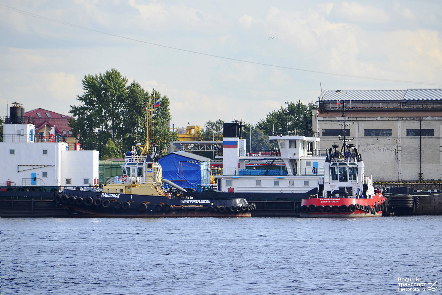 Евгений Кочешков, Павловск