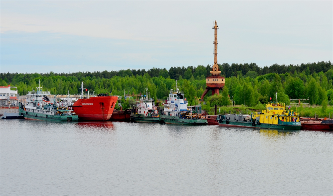 Дунайский-45, Яркий, Речной-84, ОС-24