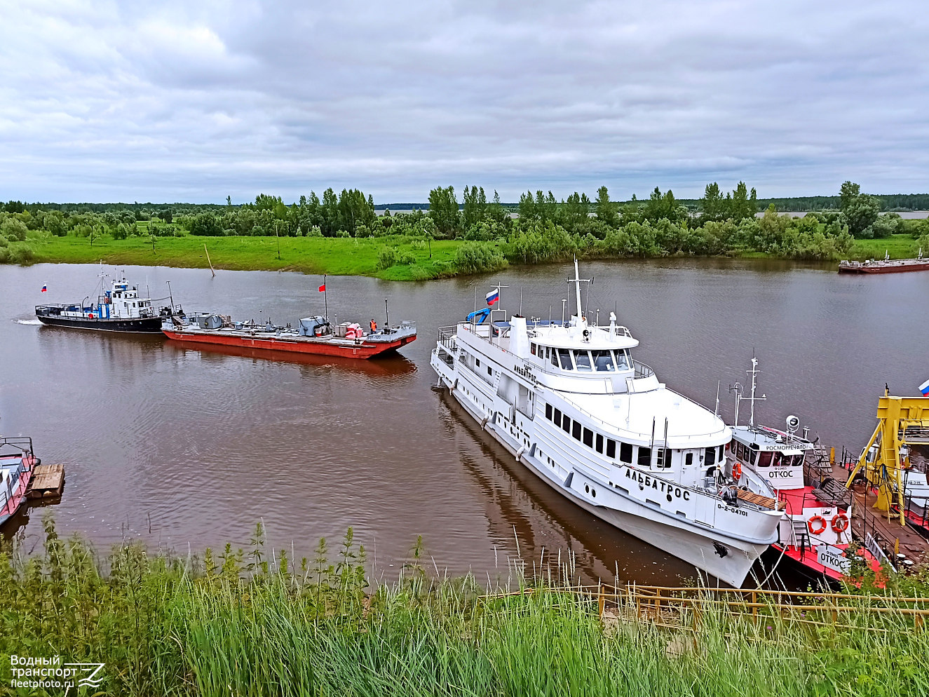 Ласточка, НТ-120, Альбатрос