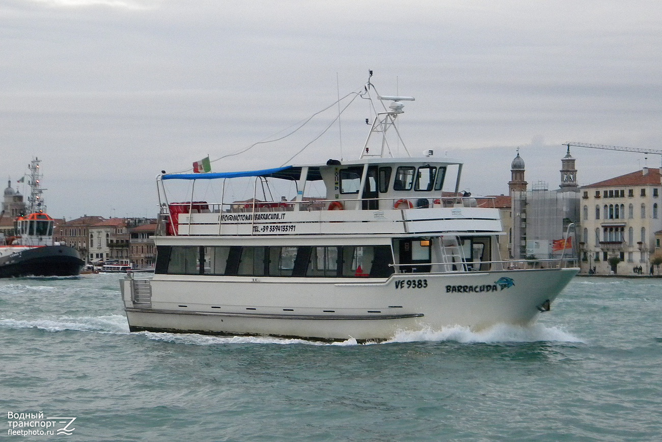 Barracuda 58