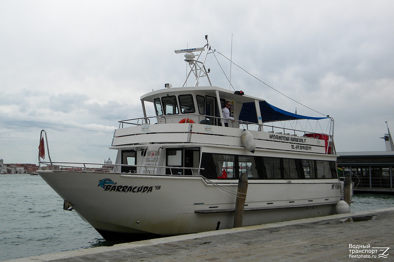 Barracuda 58