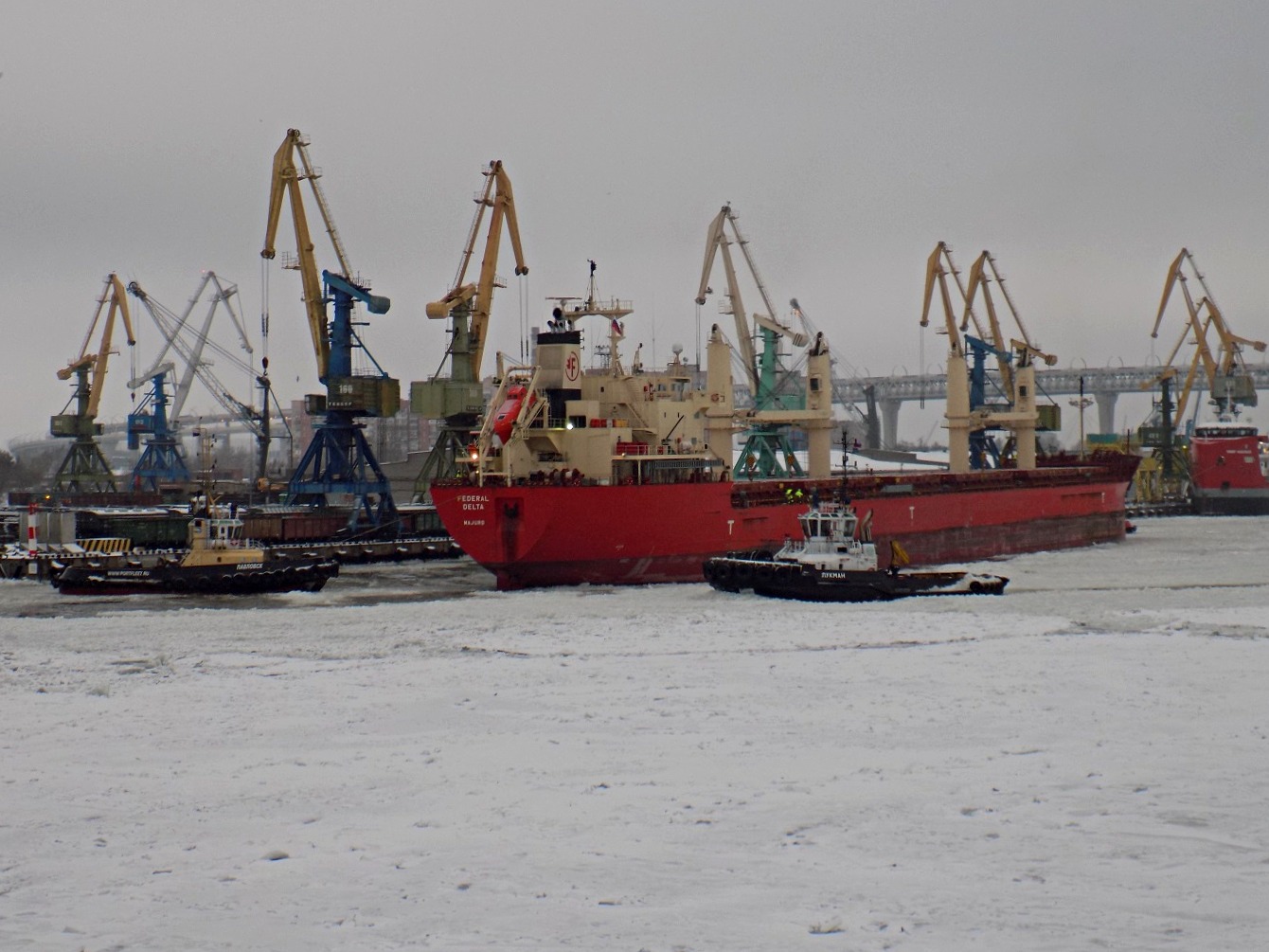 Павловск, Federal Delta, Лукман