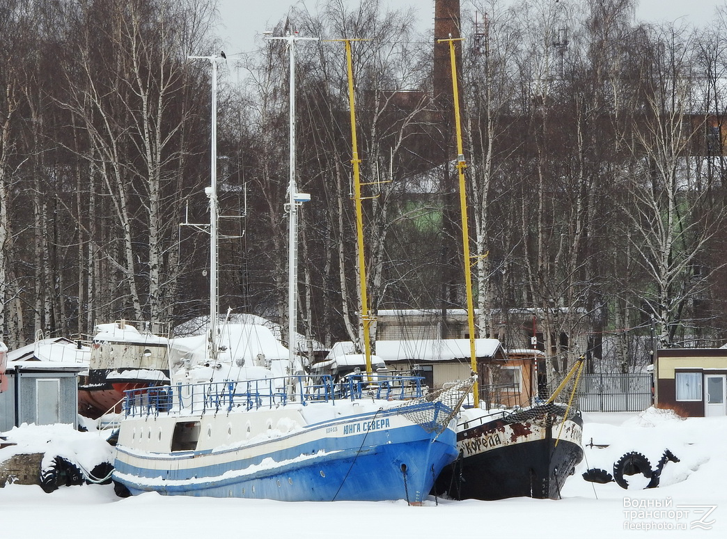 Юнга Севера, Корела