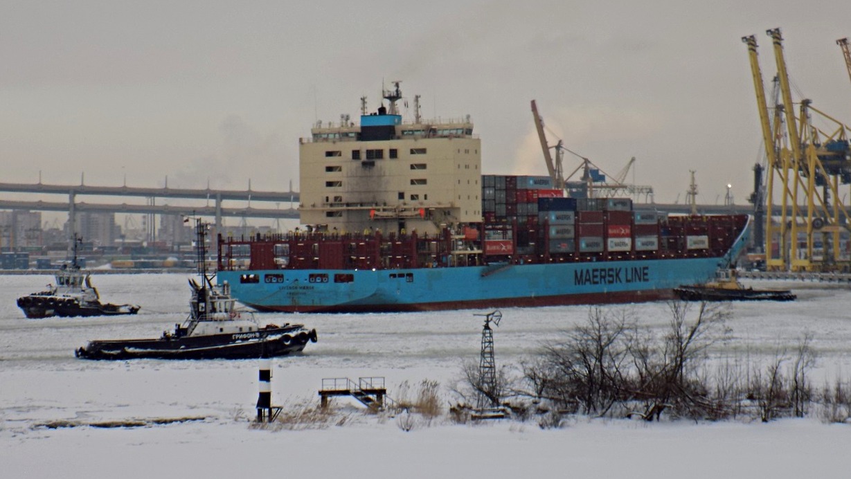 Лукман, Грифон-8, Vayenga Maersk, Акмал