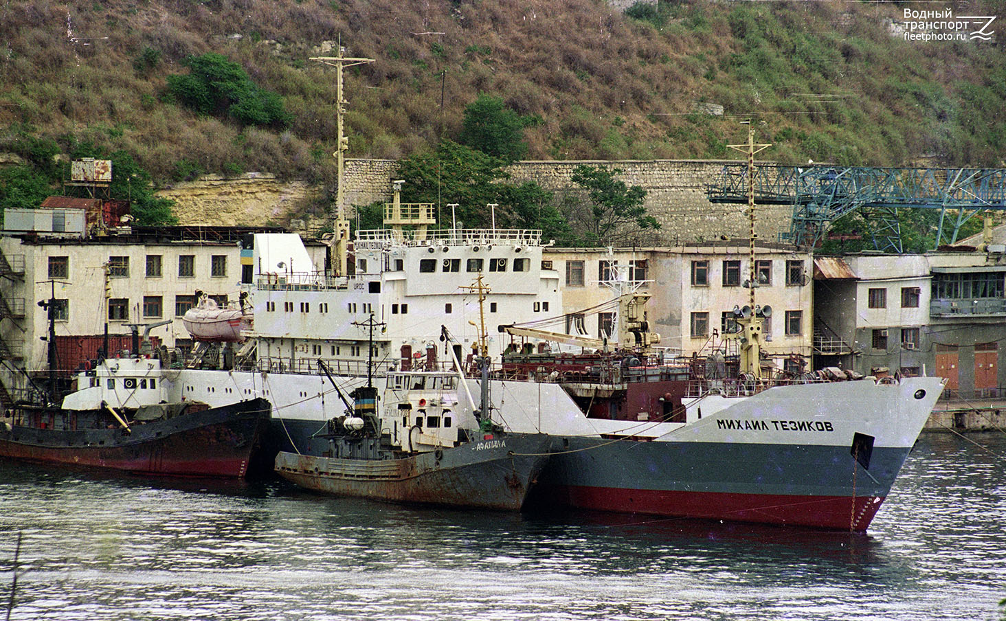 Афалина, Владимир Юрко