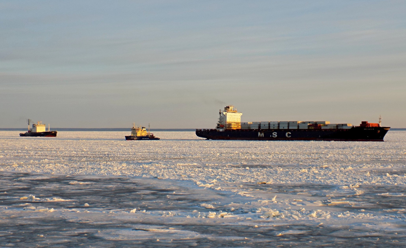 Мудьюг, Капитан Косолапов, MSC Katya R