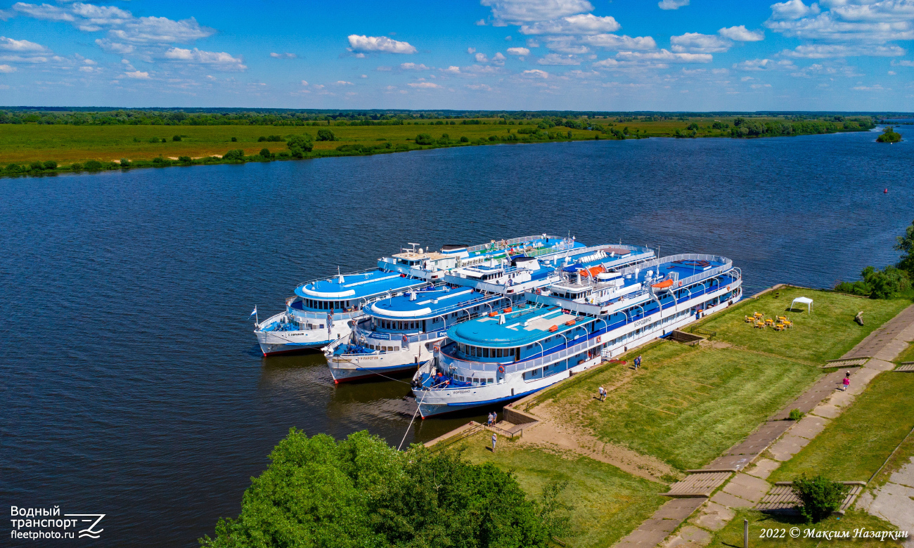 Сергей Образцов, Григорий Пирогов, Бородино