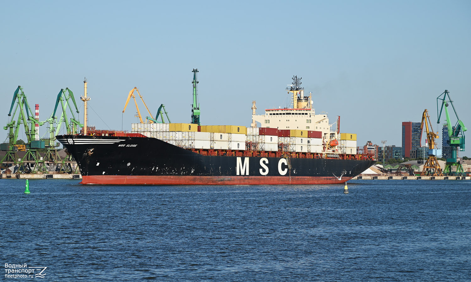 MSC Eloise