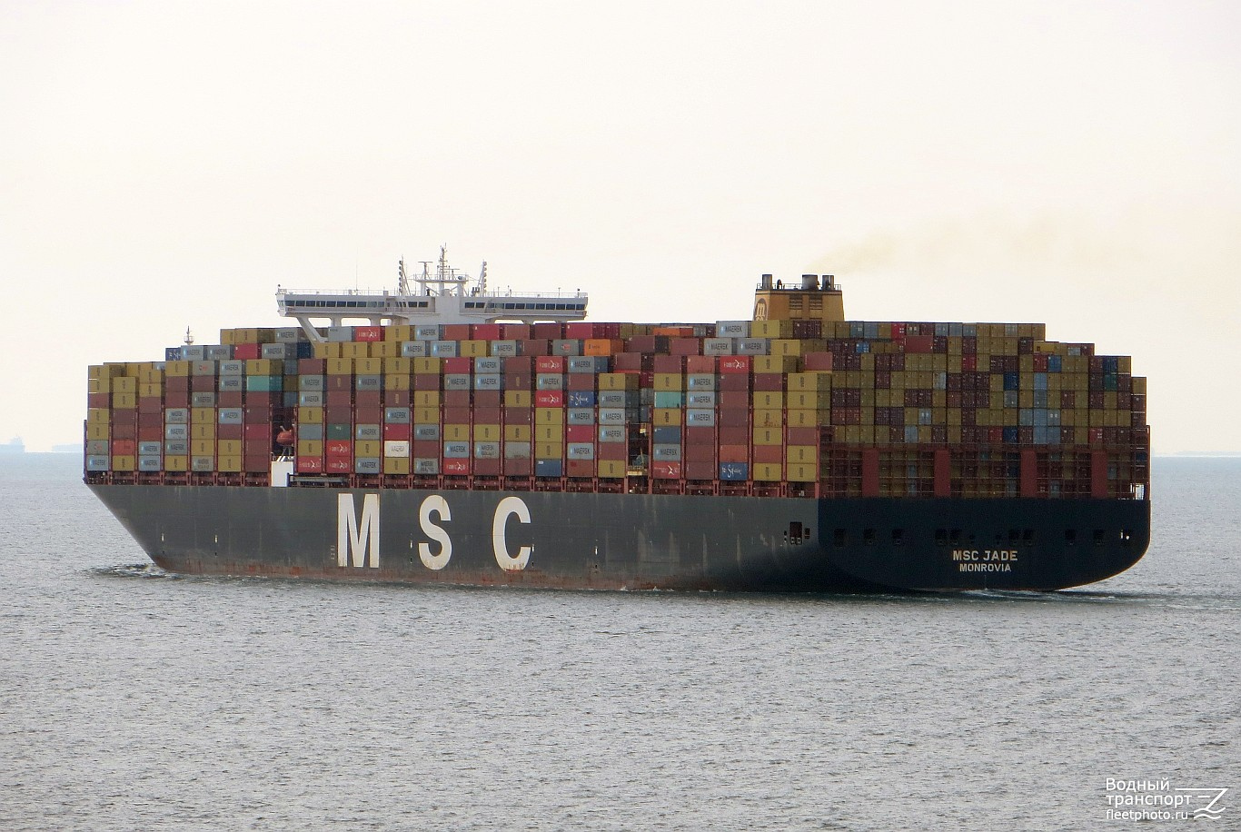 MSC Jade