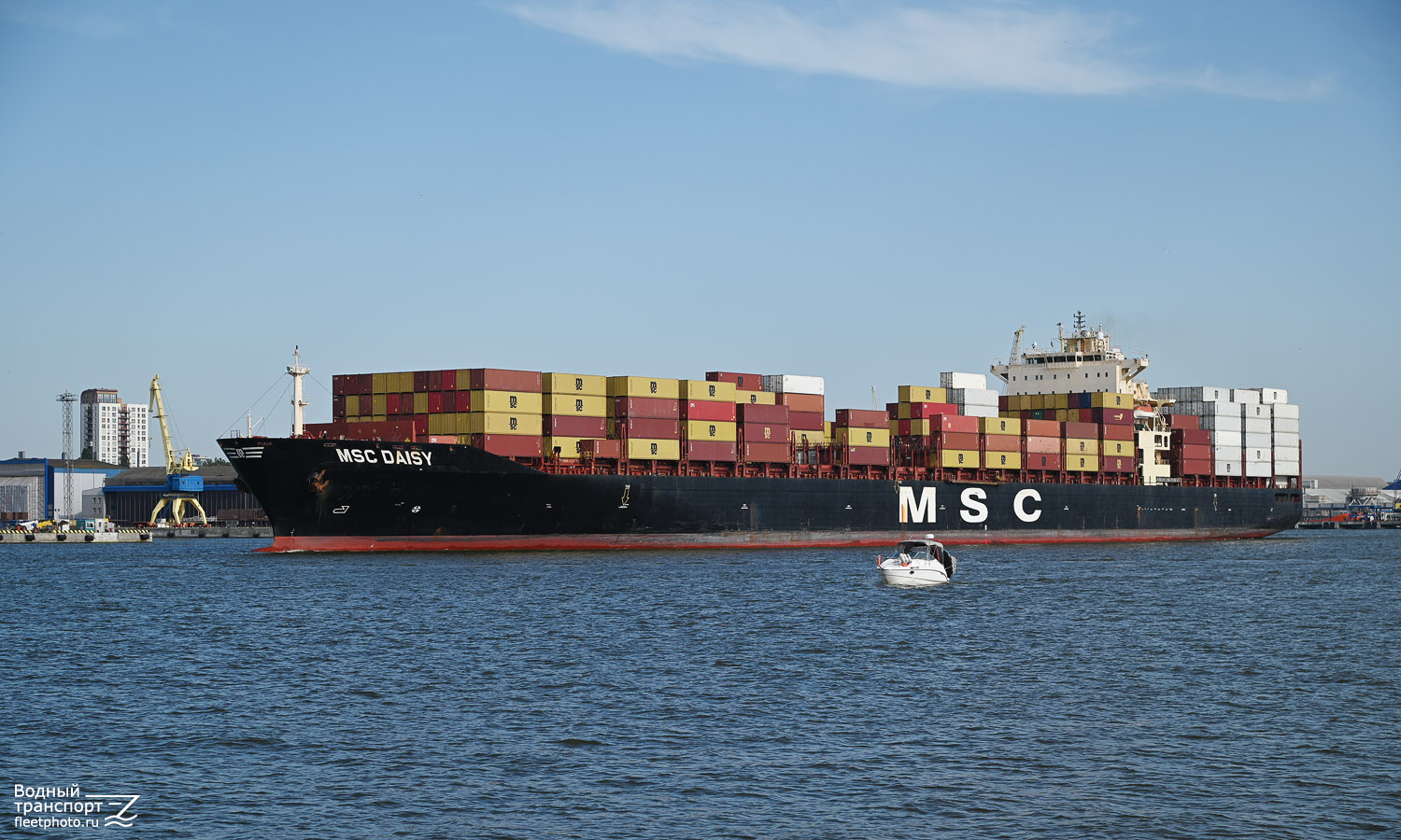 MSC Daisy