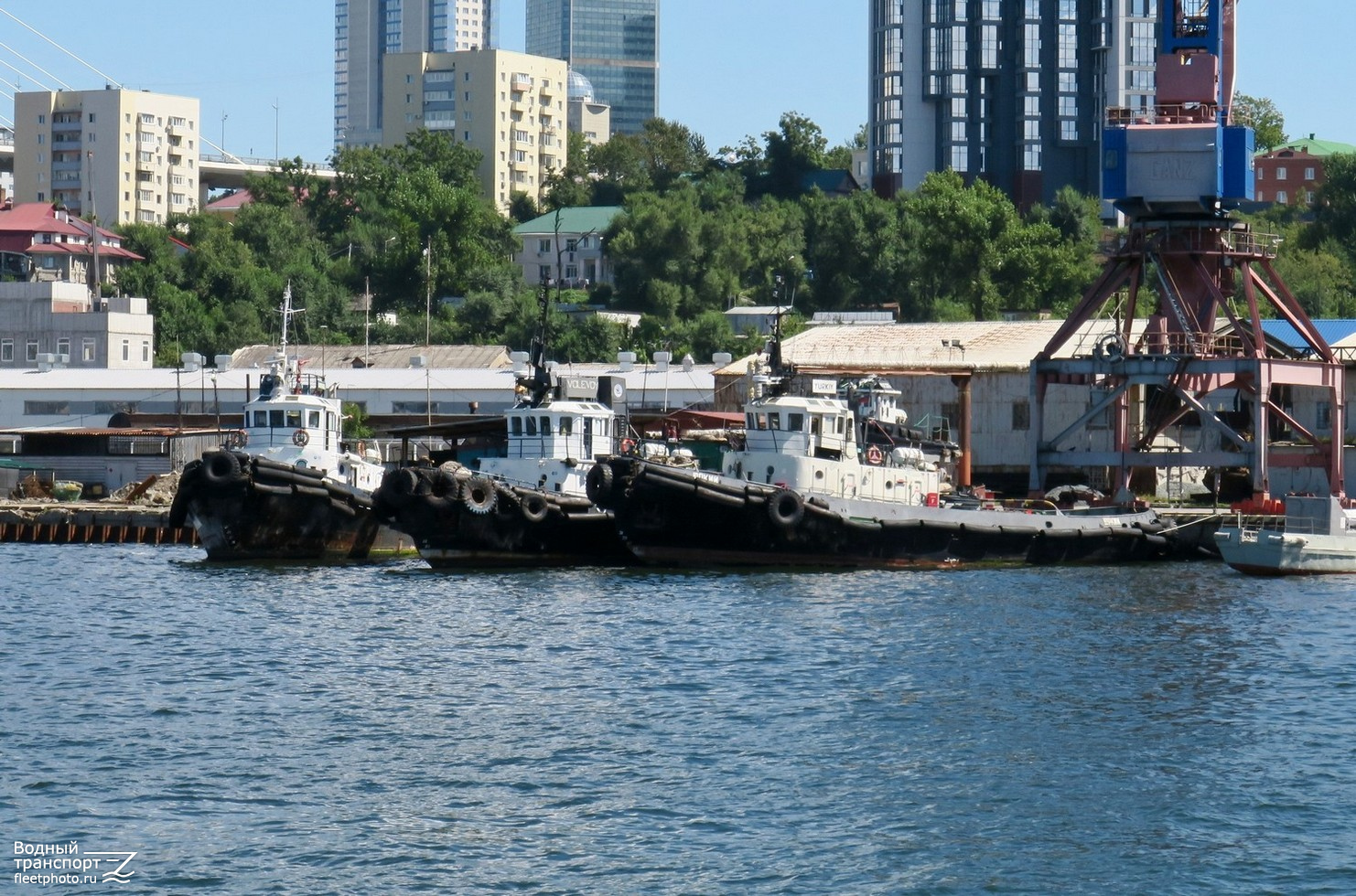 Булаево, Волевой, Юркий