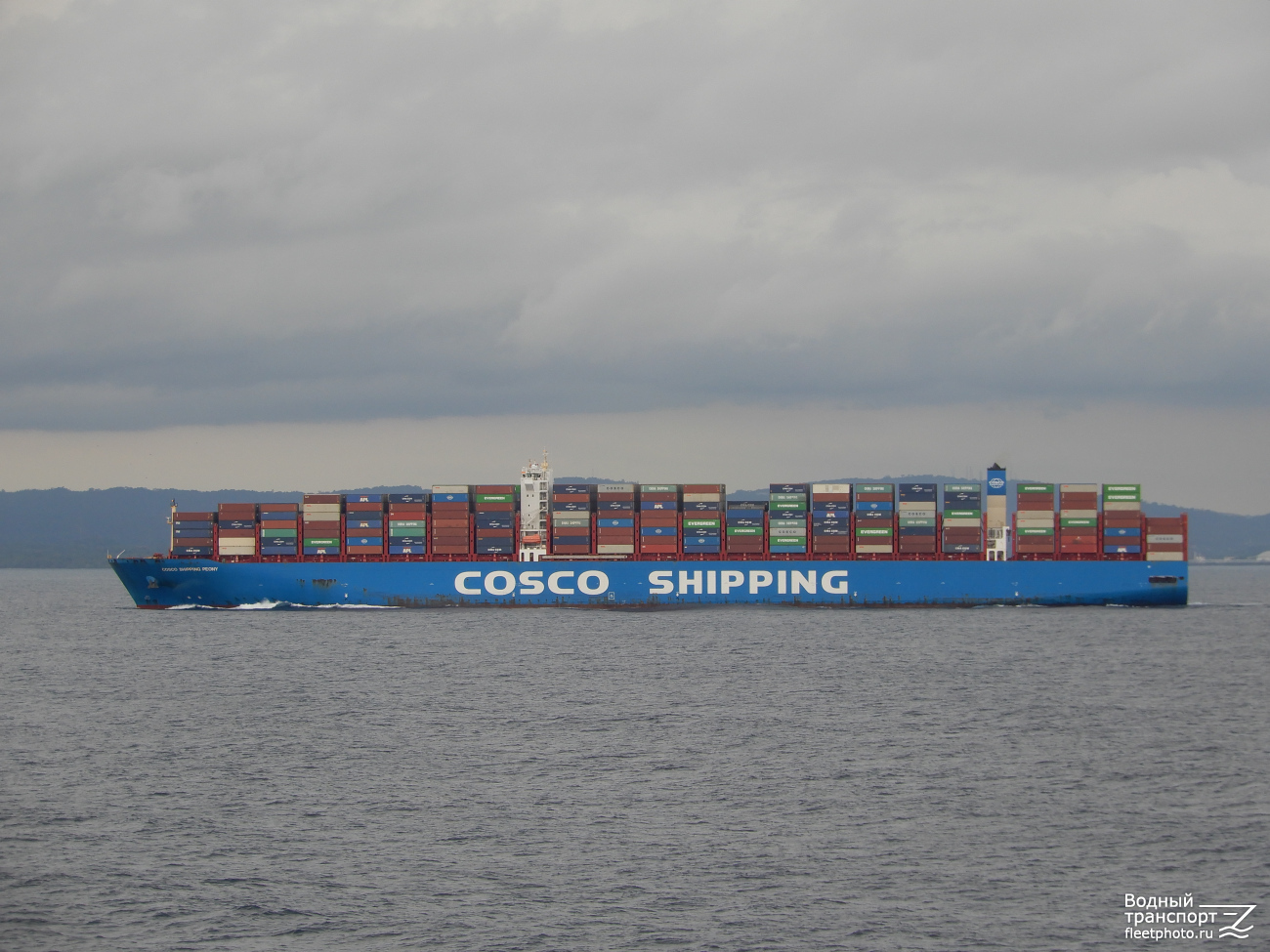 COSCO Shipping Peony