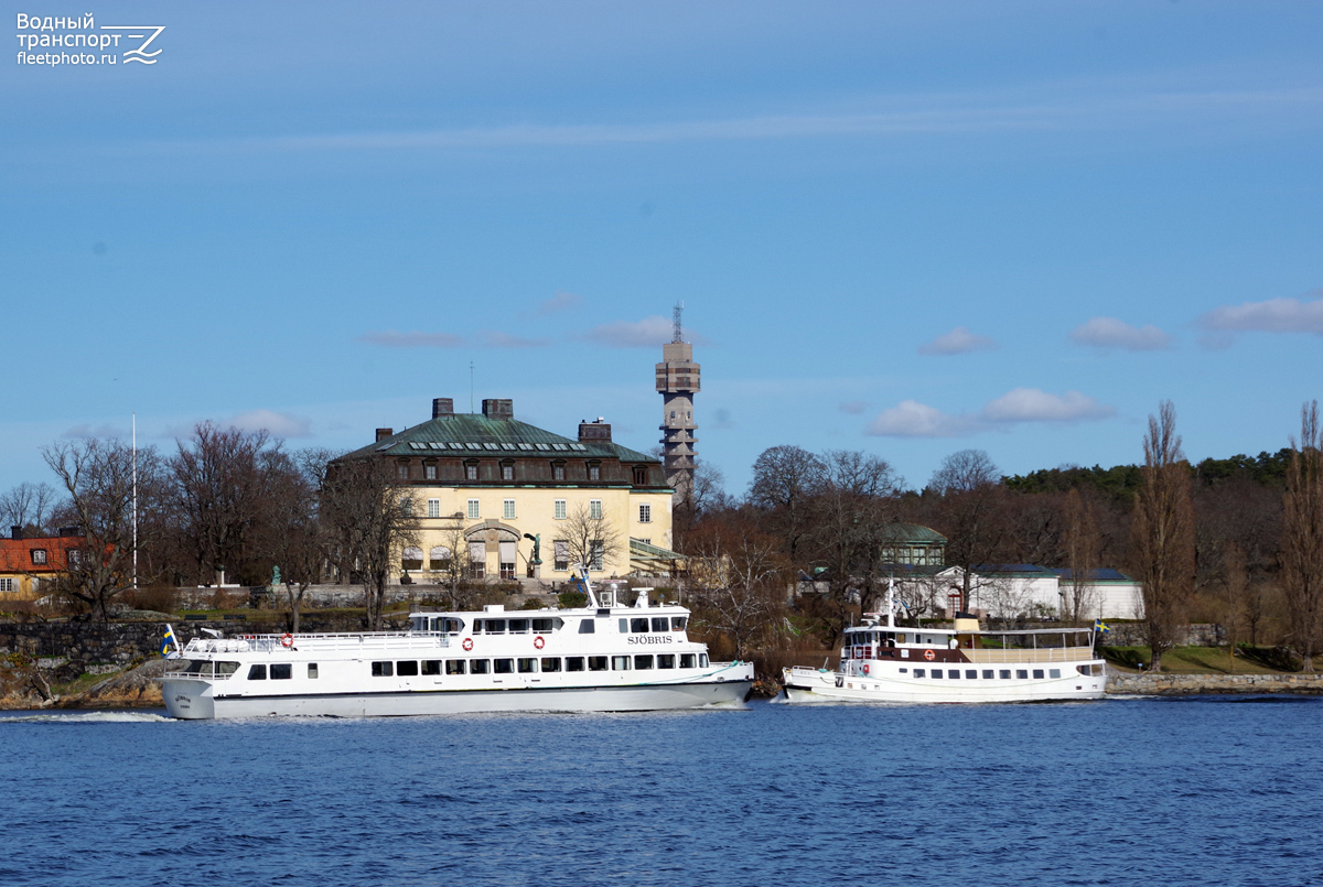 Sjöbris, Rex af Stockholm