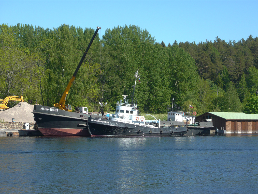 МБСН-10503, Святой Александр Невский