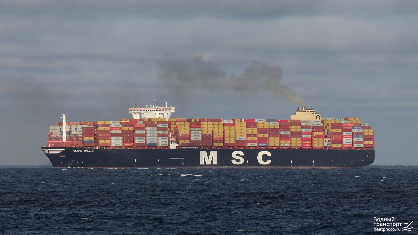 MSC Nela