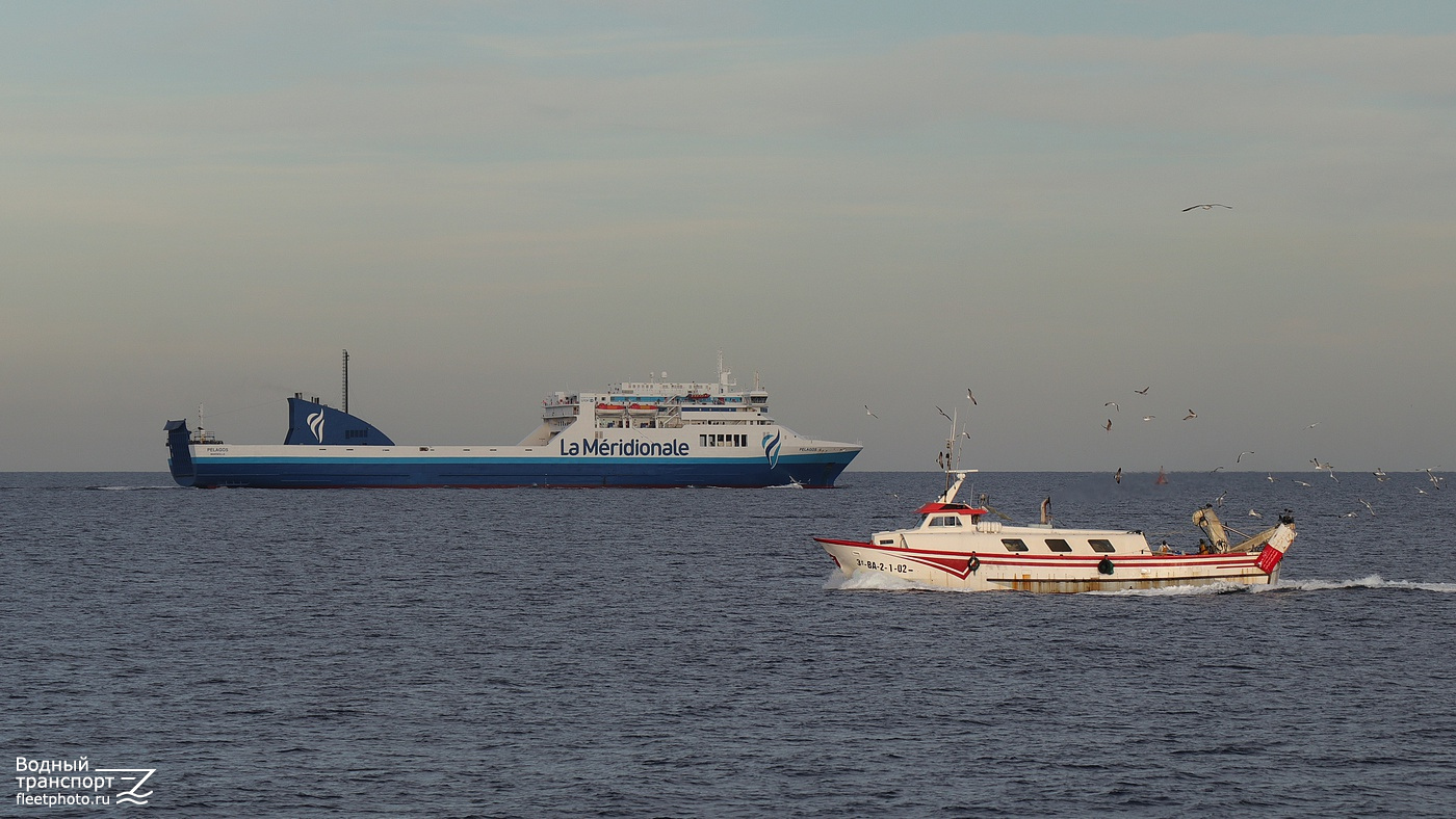 Pelagos, L'Ostia