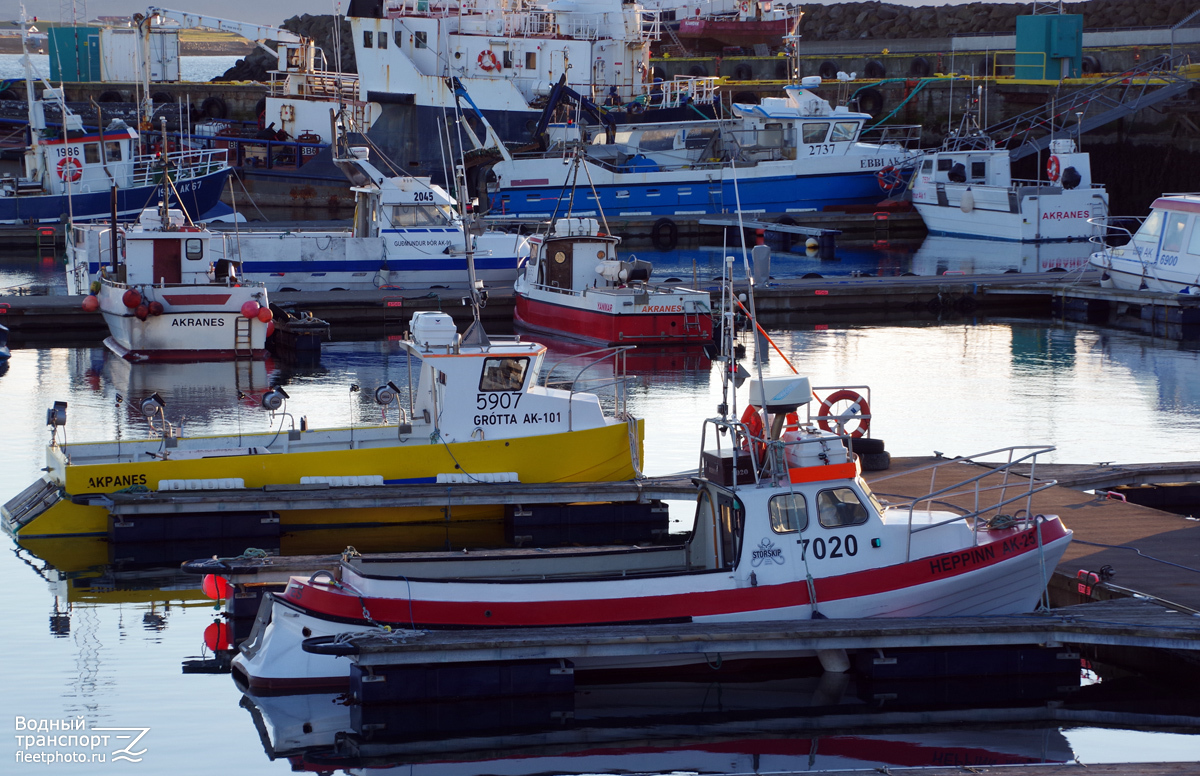 Grótta, Ðura, Heppinn, Guðmundur Þór, Mar, Ebbi, Grimur