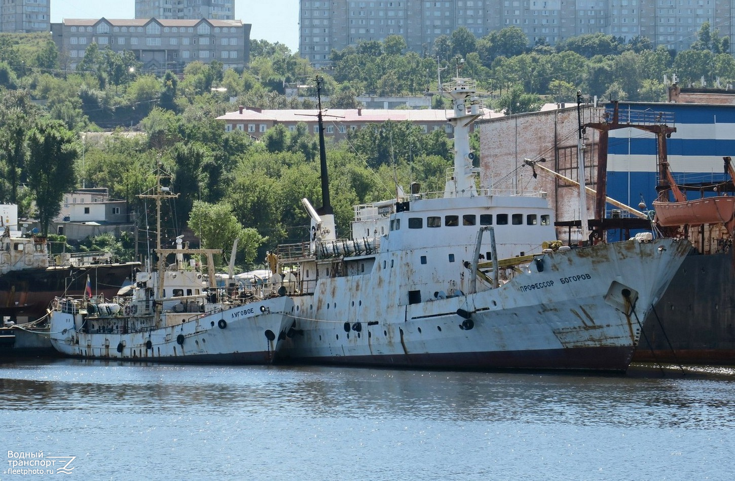 Луговое, Профессор Богоров