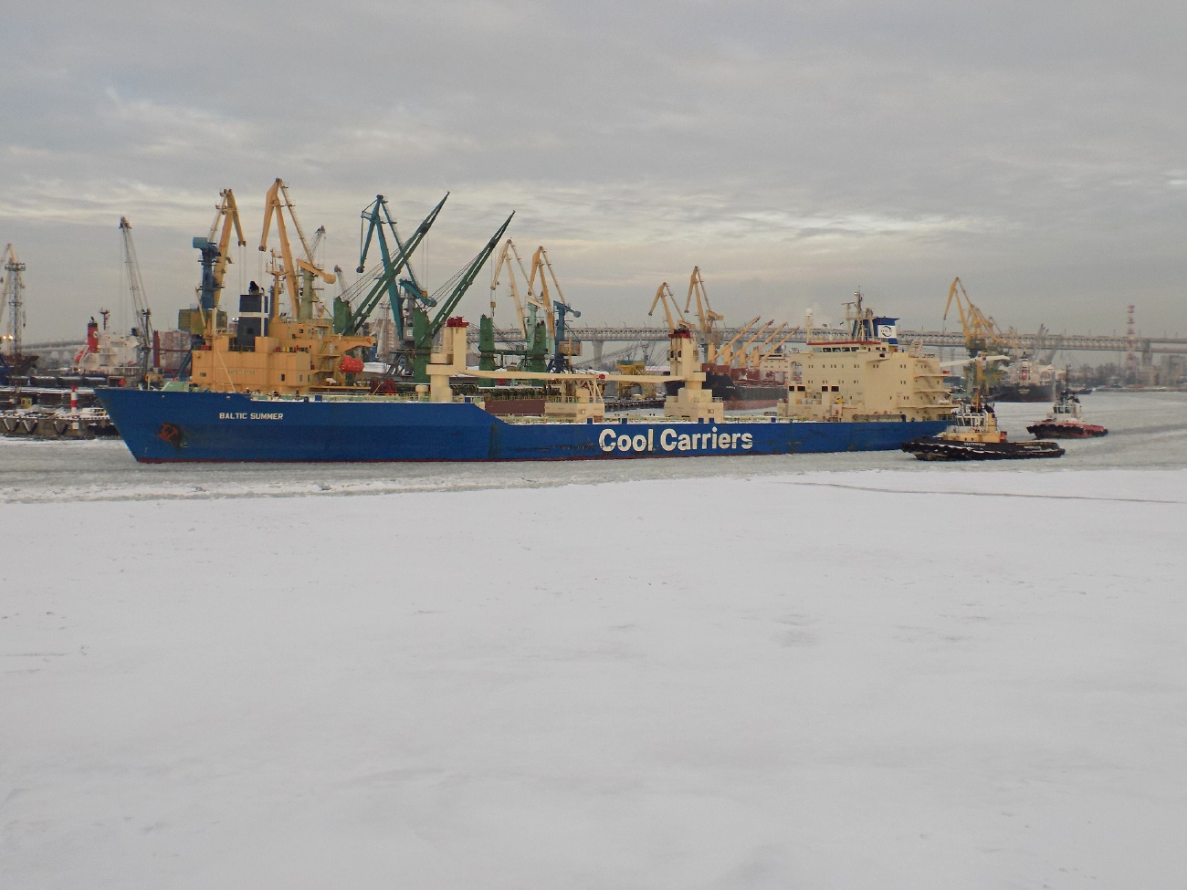 Baltic Summer, Сестрорецк, Евгений Кочешков