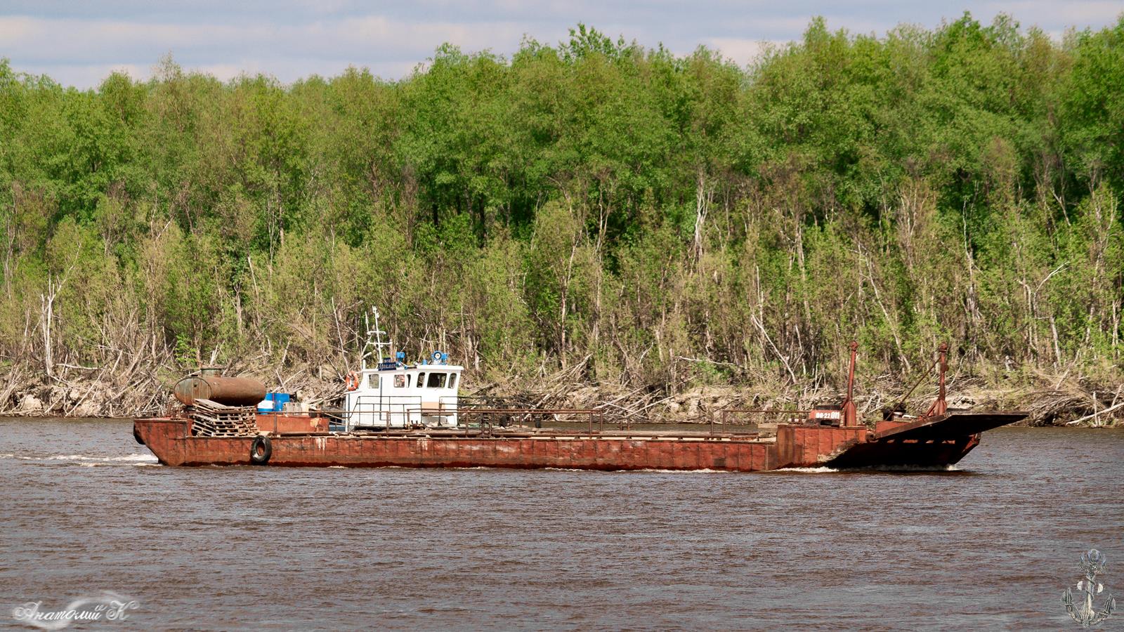 СБП-121, Аргамак