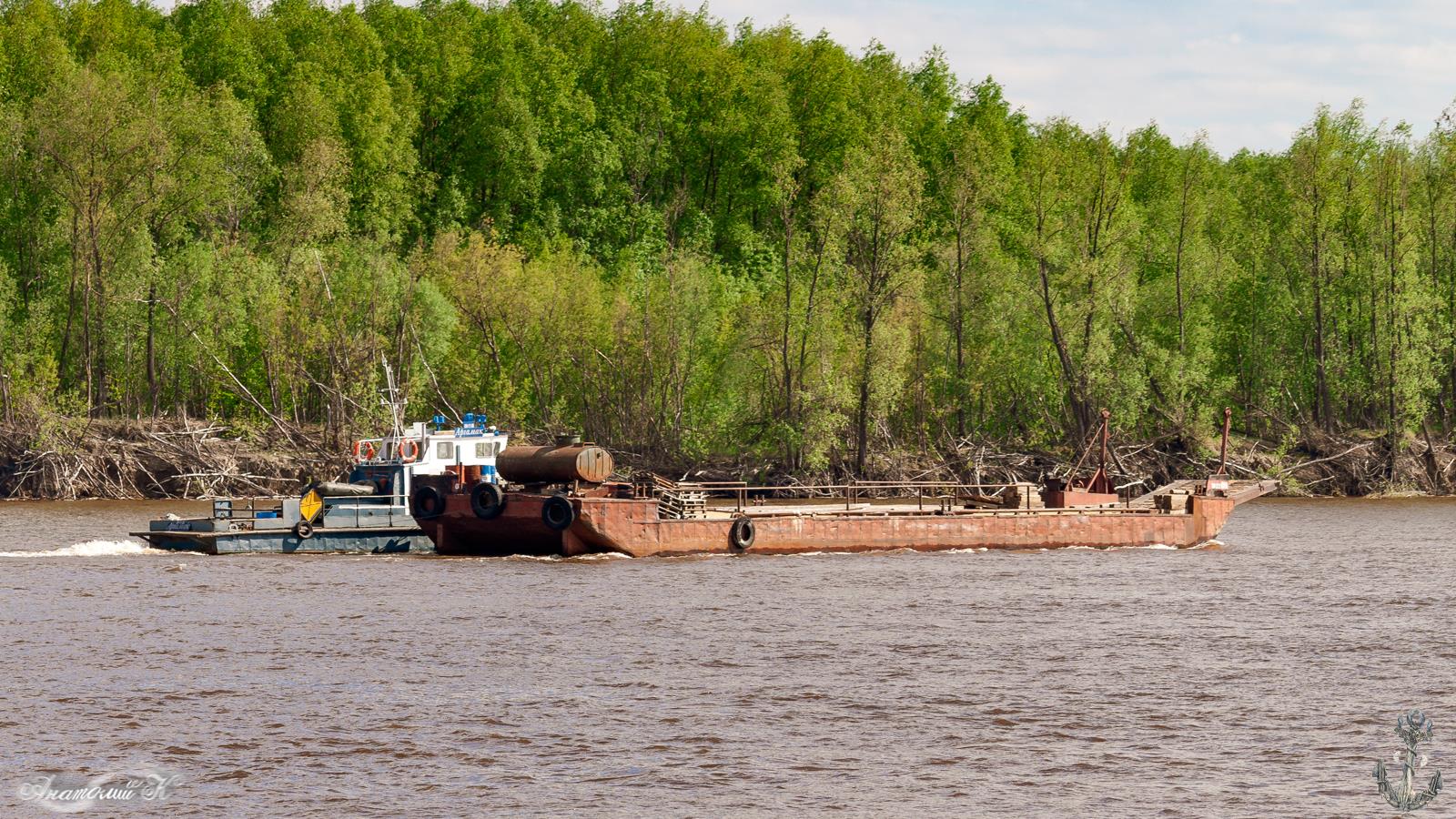 Аргамак, СБП-121