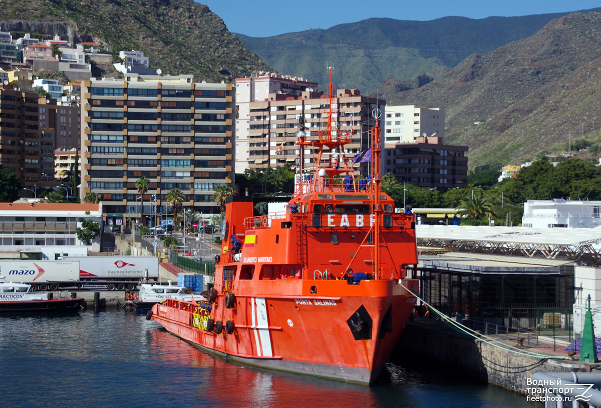 Punta Salinas