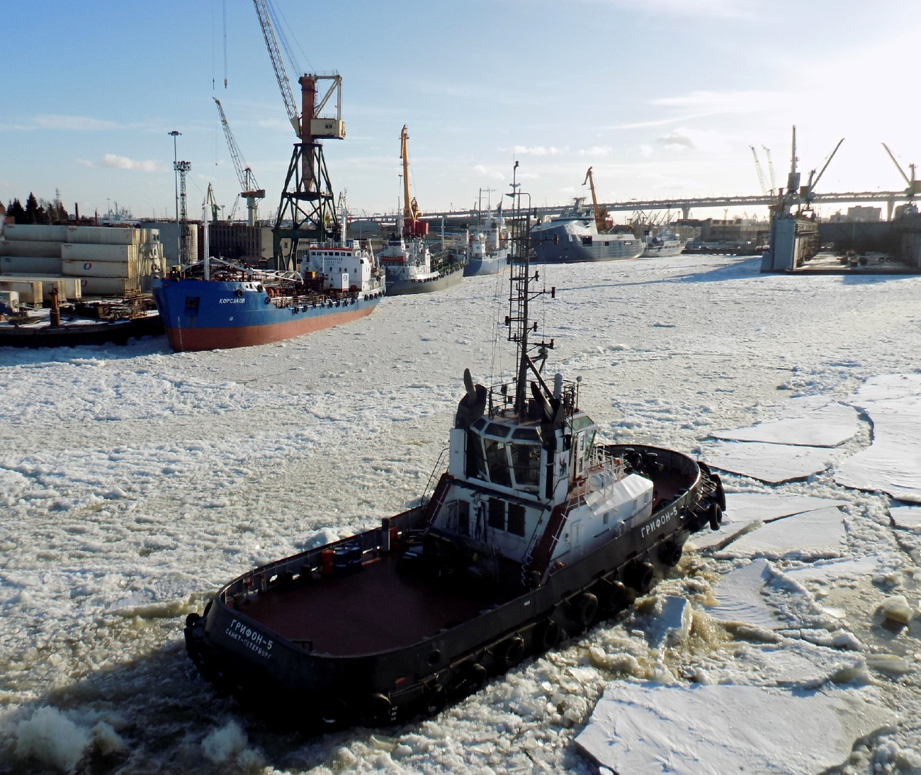 Грифон-5, Корсаков, Дмитрий Рулевский, Профессор Логачёв, Академик Николай Страхов, Док №5