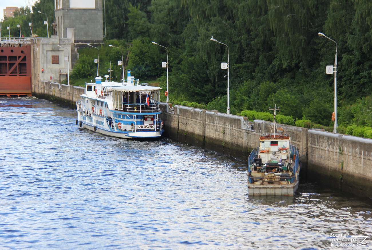 Чижик, Ангел