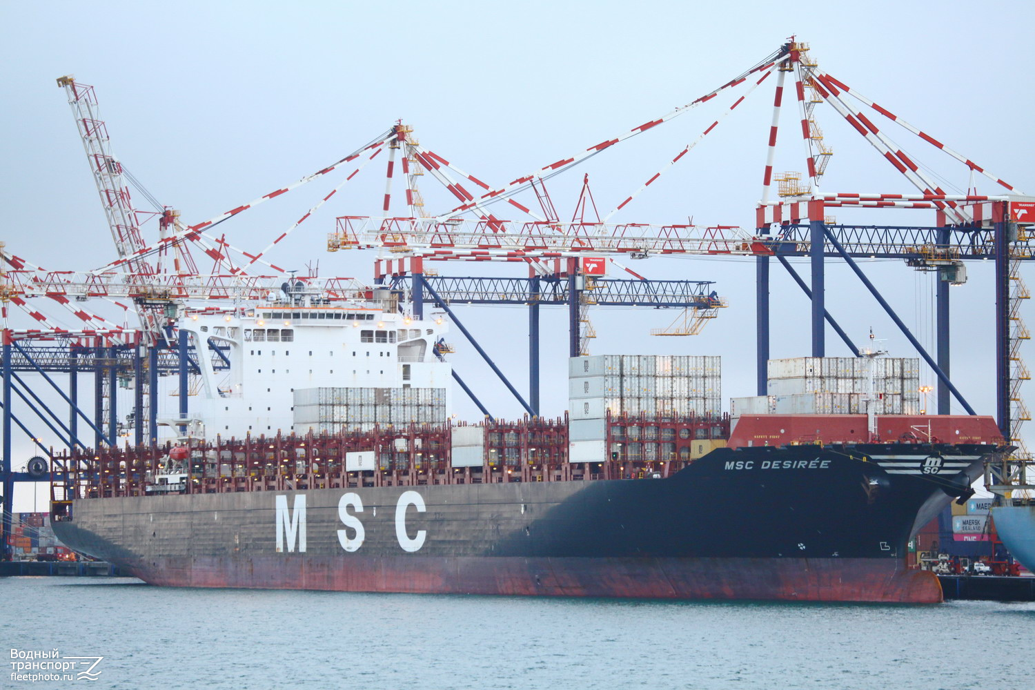 MSC Desirée