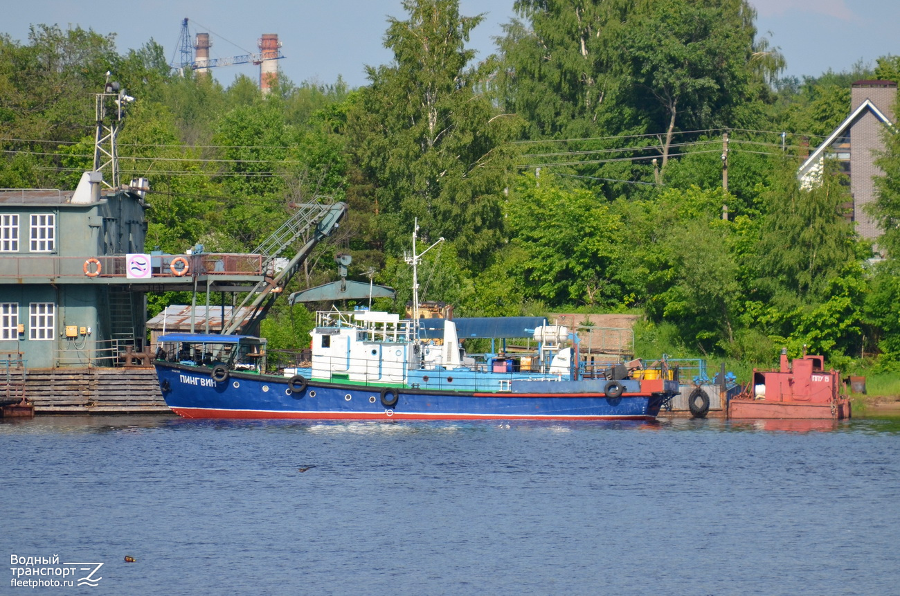 Пингвин, ППУ-5