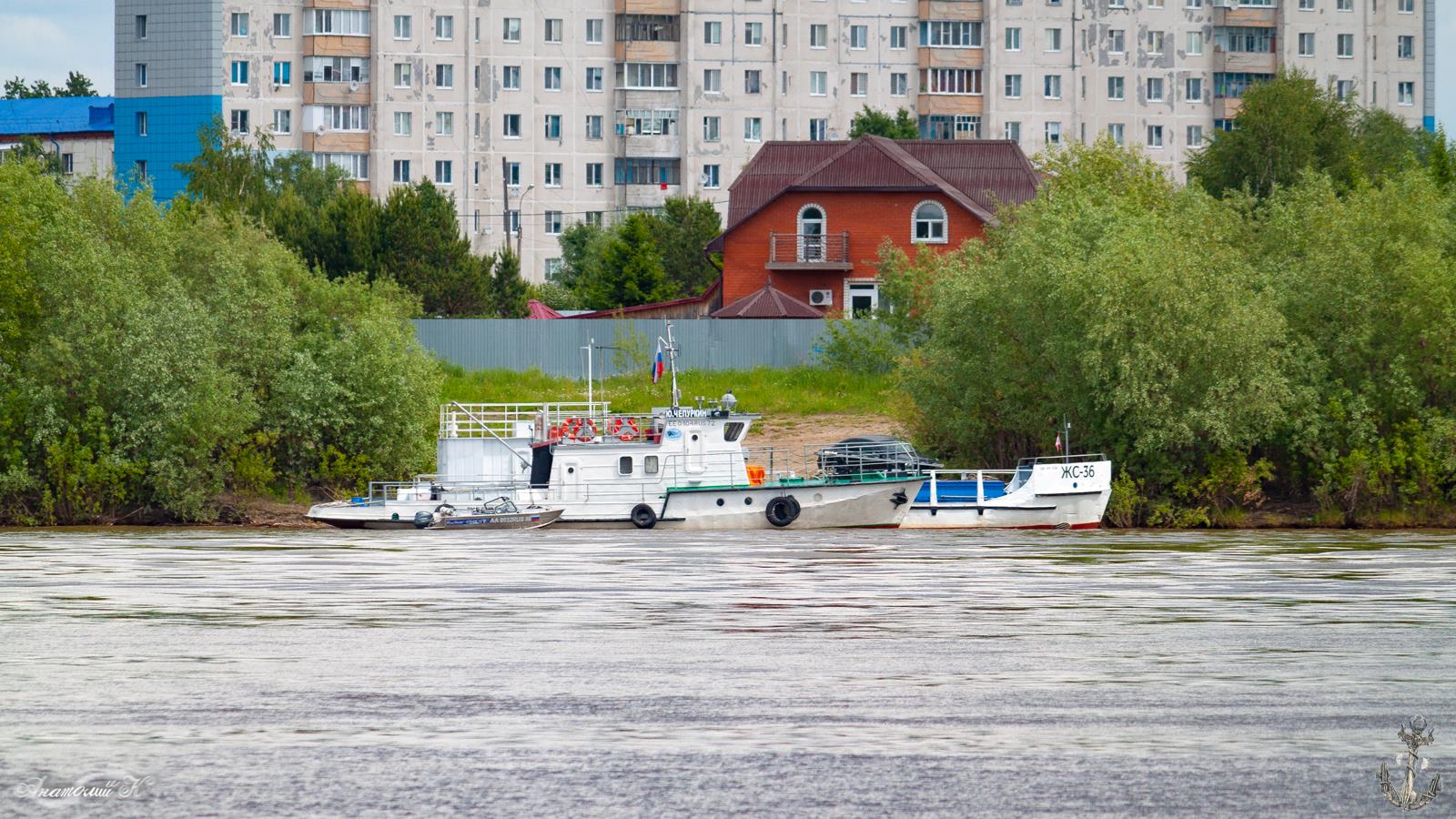 Юрий Чепуркин, ЖС-36