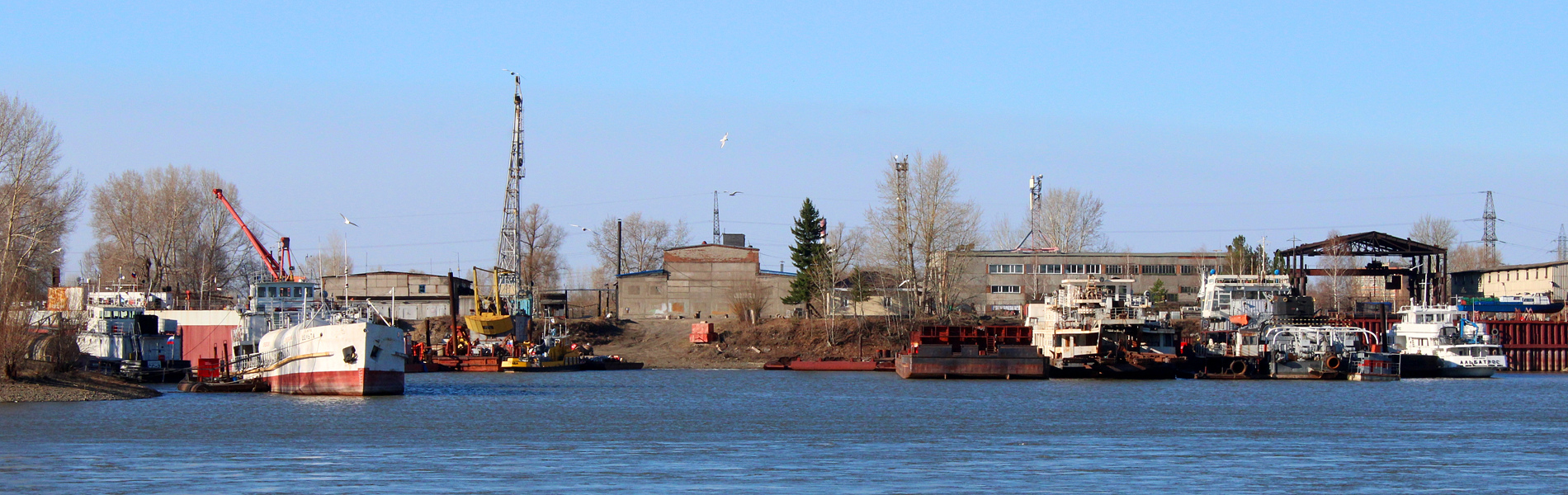 Дельта, ГК-5, Георгий Петров, Васюган, Альбатрос, Кайман