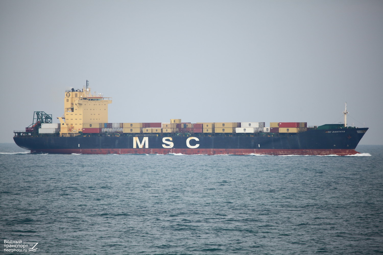 MSC Santhya