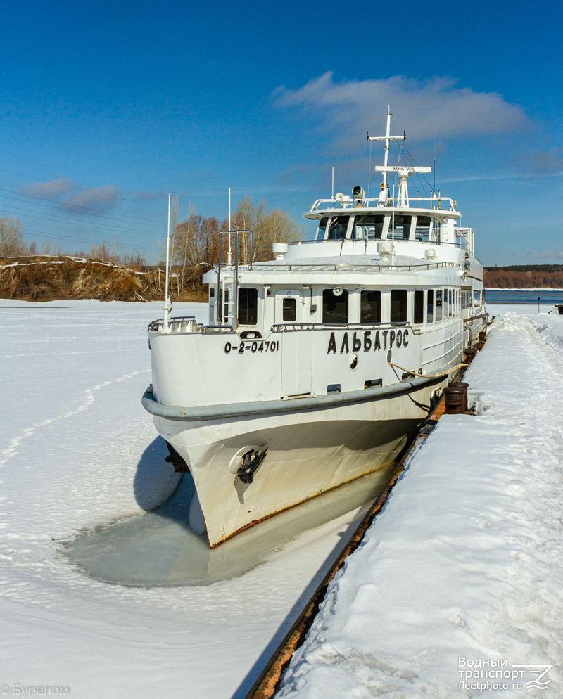 Альбатрос