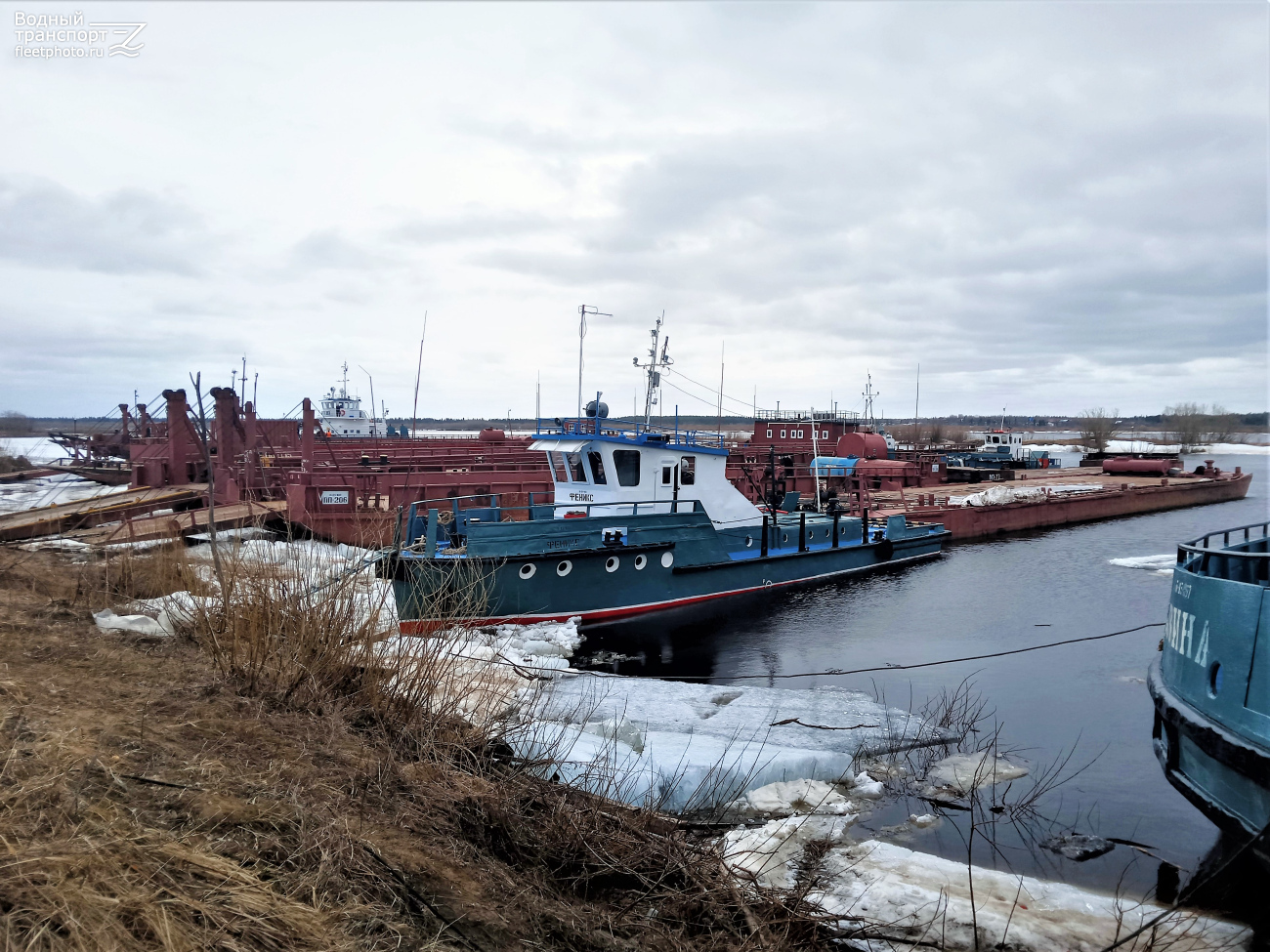 Феникс, ПП-206, МП-23, Р 30-11 ЩП, Двина. Unidentified ships