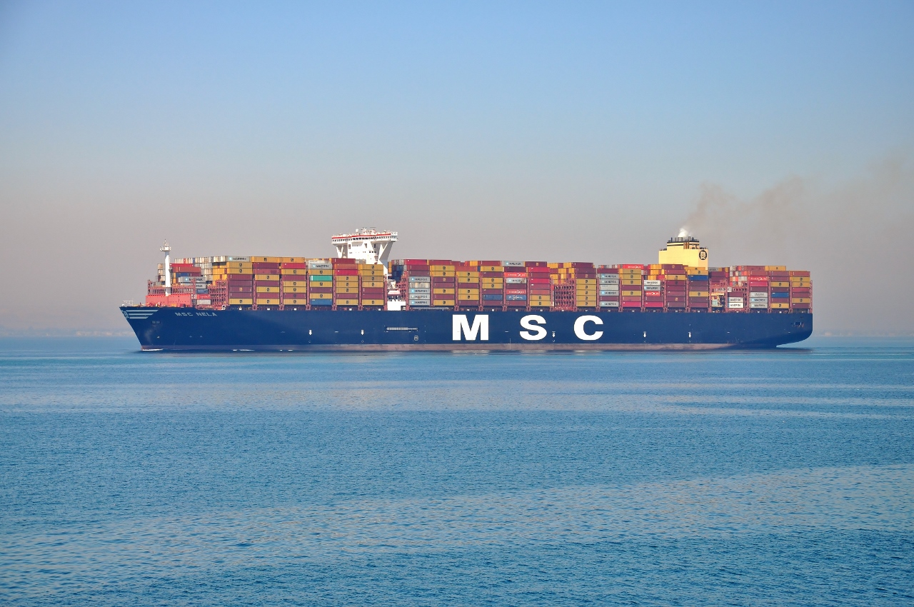 MSC Nela