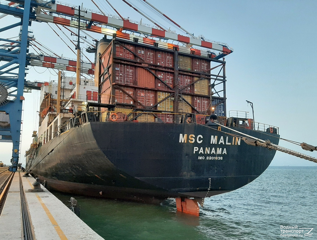 MSC Malin