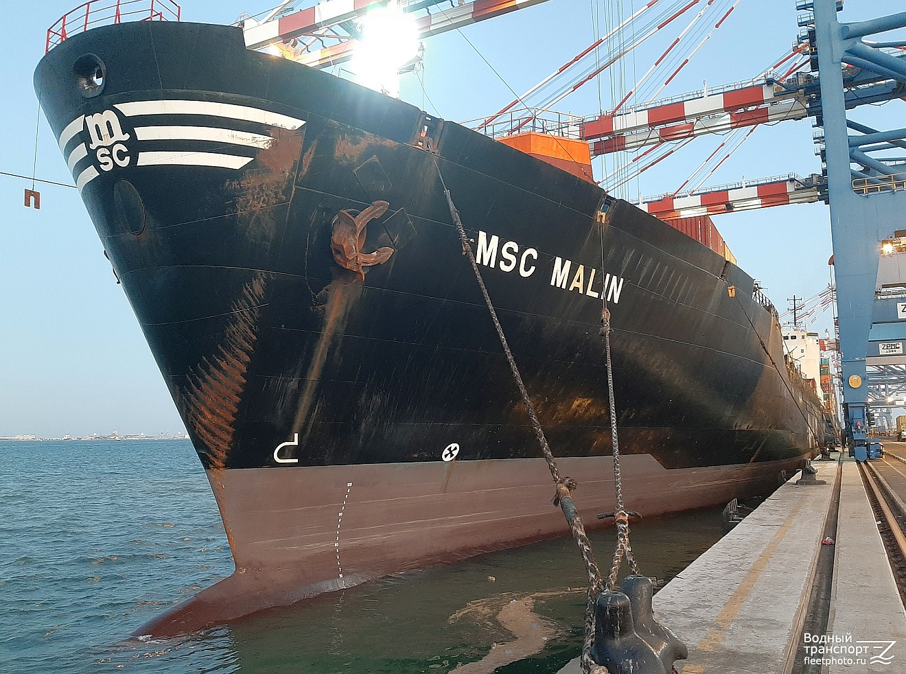 MSC Malin