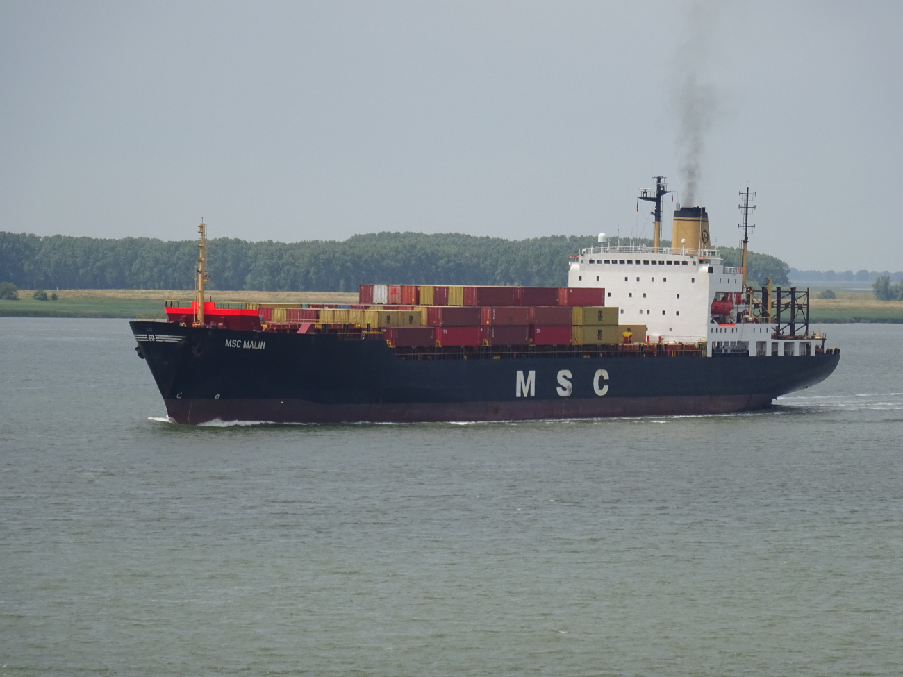 MSC Malin