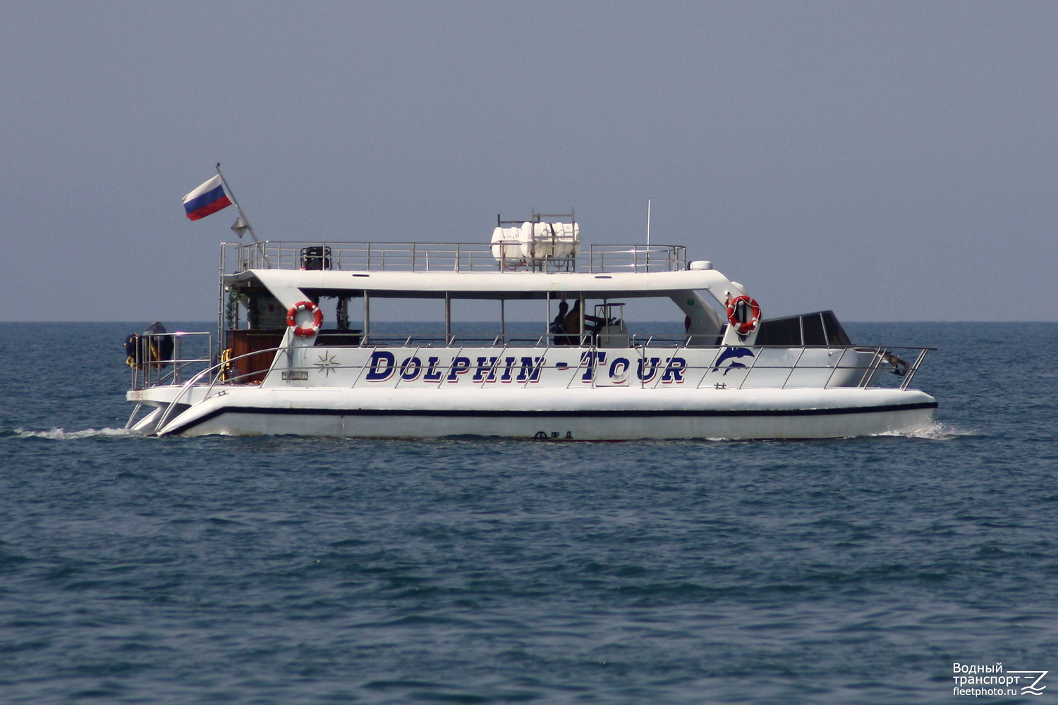 Dolphin Tour