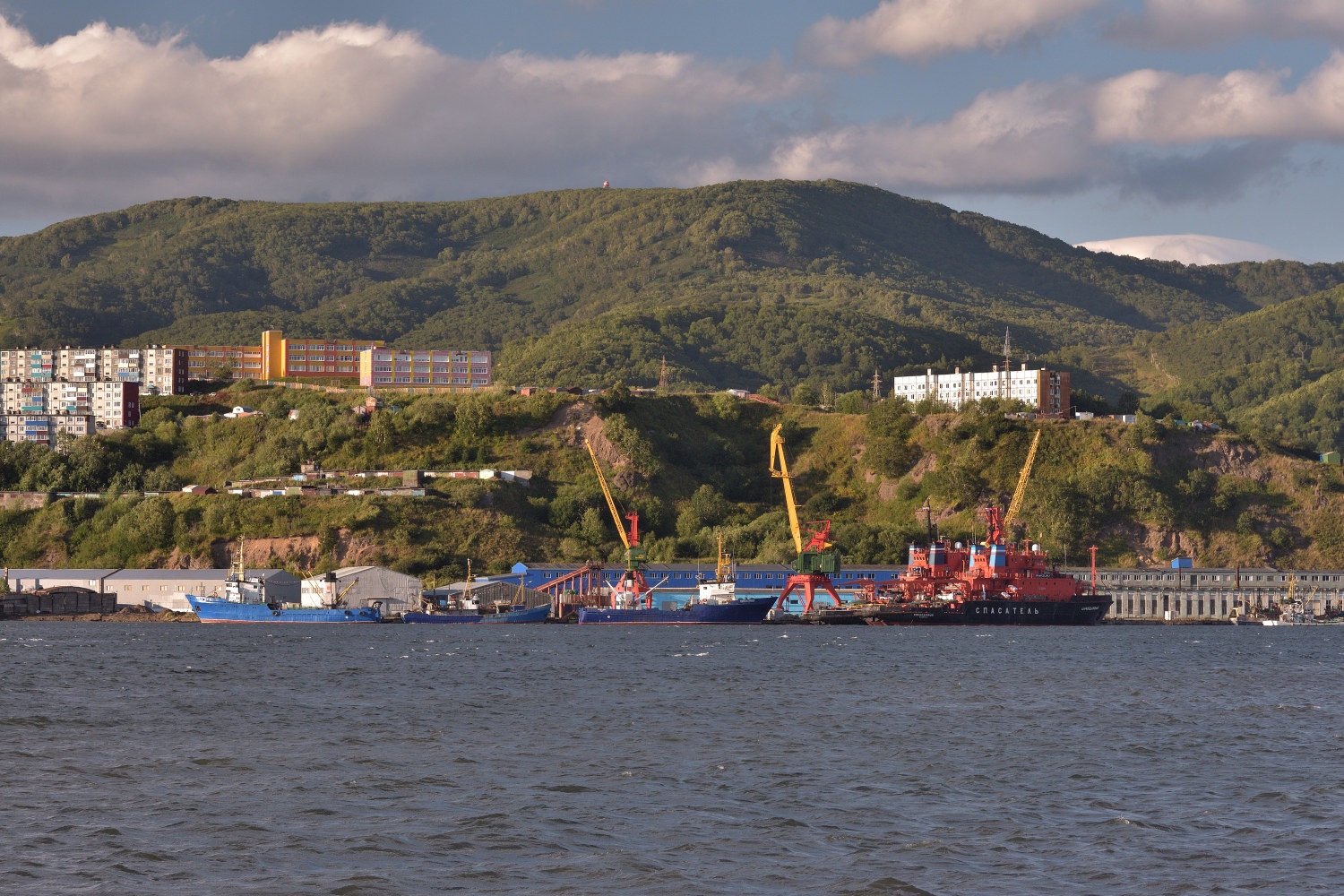 Петропавловск-Камчатский, Дальневосточный морской бассейн