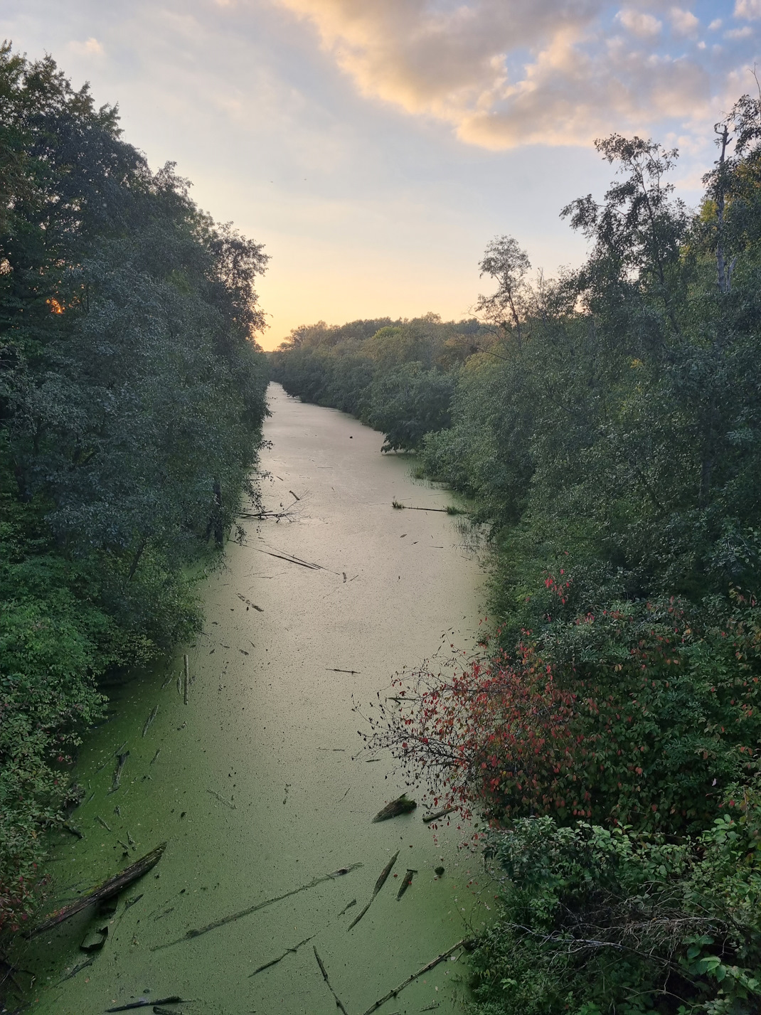 Балтийский морской бассейн