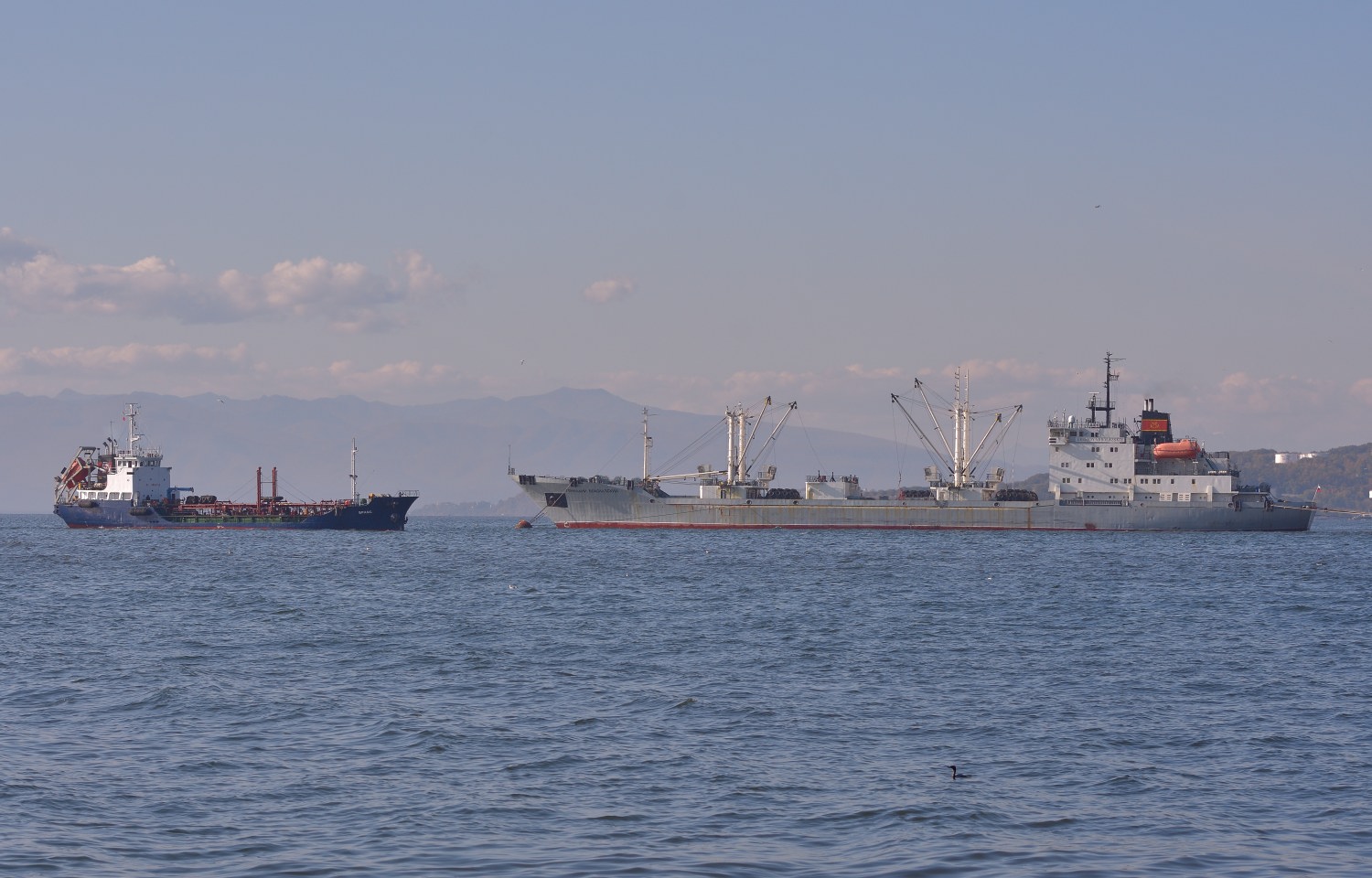 Брамс, Геннадий Водолазский