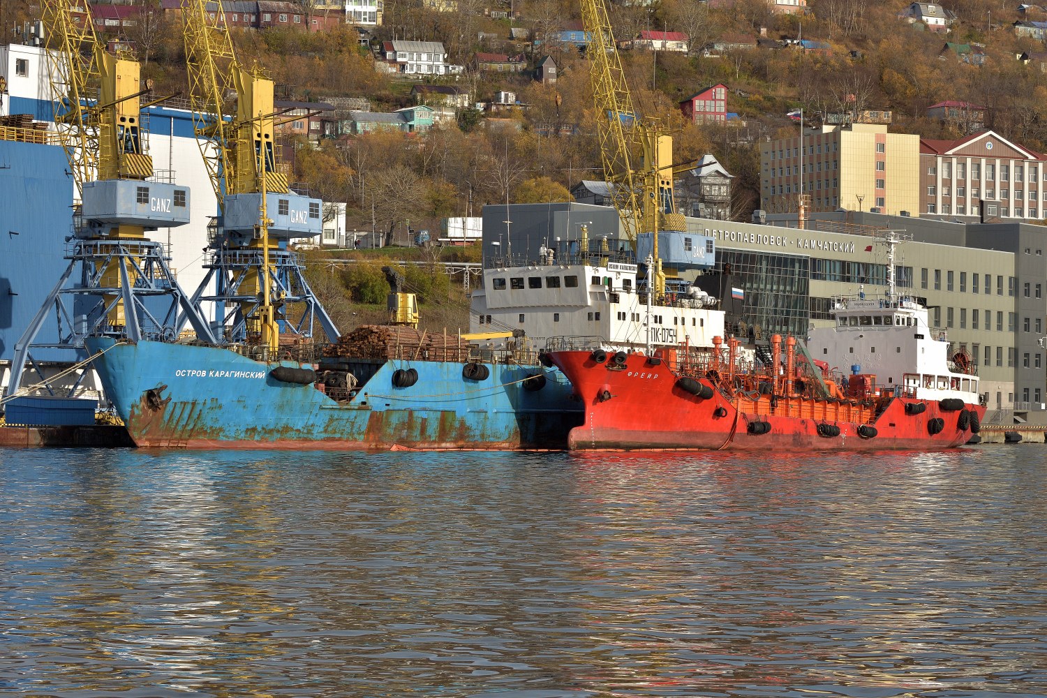 Остров Карагинский, Фрейр