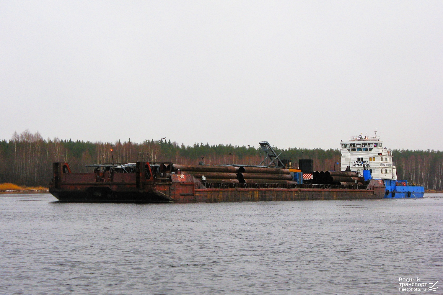 3602, Александр Островский