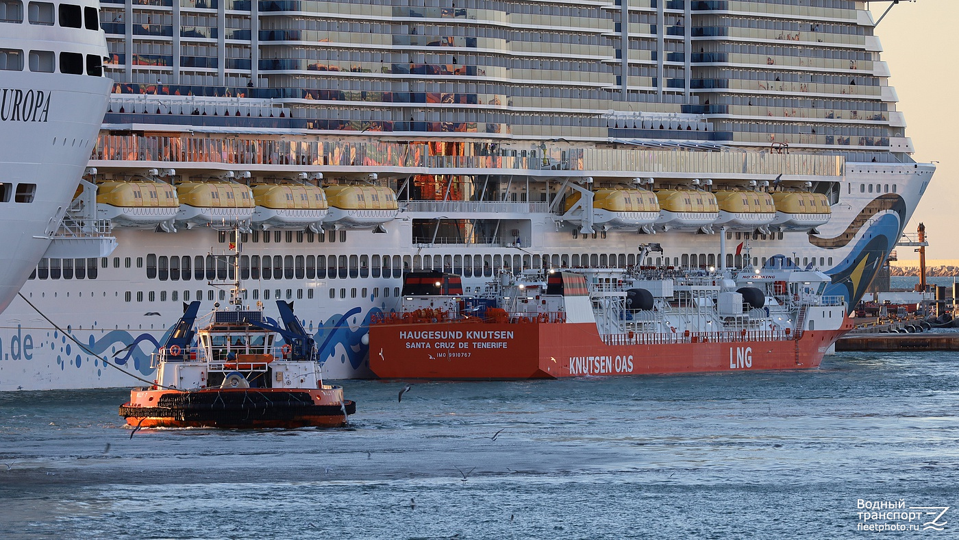 Willy T, Haugesund Knutsen