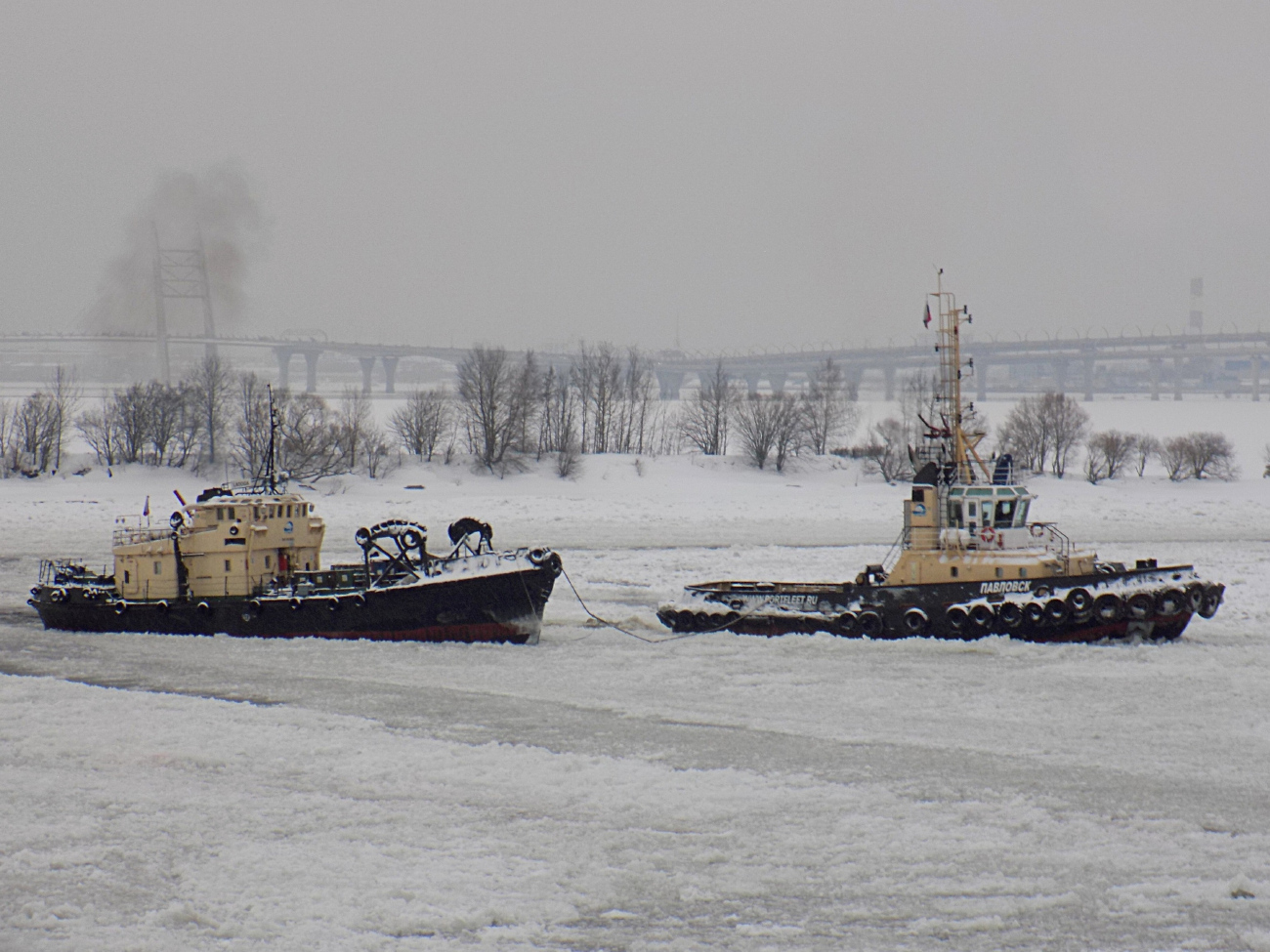 Ладога, Павловск