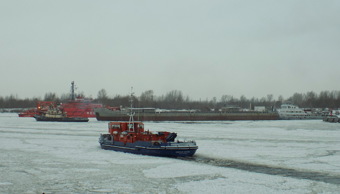 Невская Застава, Меркурий, СФС-222, Капитан Ерофеев, Спасатель Карев